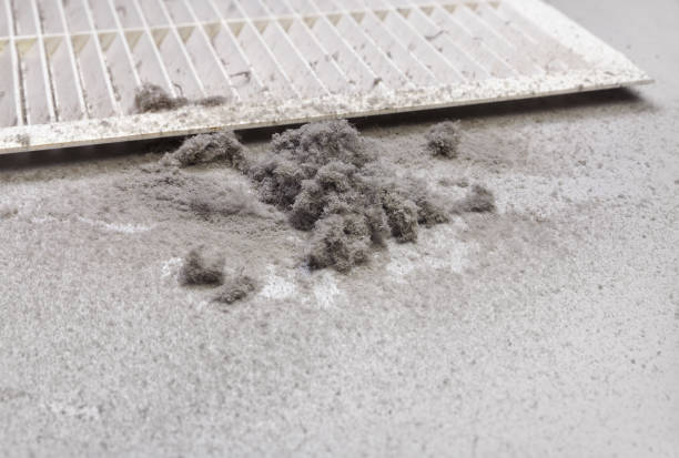 Best Home Air Vent Cleaning  in Prien, LA