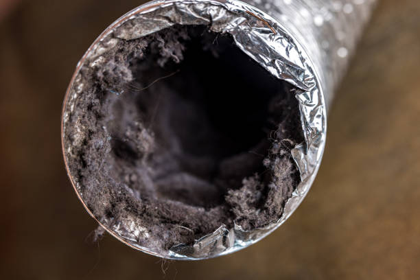 Trusted Prien, LA Airduct Cleaning Experts