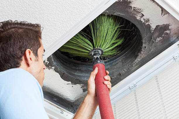 Best Local Air Duct Cleaning Services  in Prien, LA